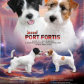 PORT FORTIS X... LITTER