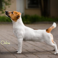 ELSA LARKY ONLINE ELSA LARKY ONLINE
