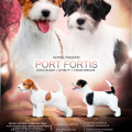 PORT FORTIS Y... LITTER