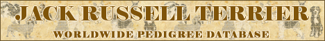 DogsFiles.com - databases of all dog's breeds.