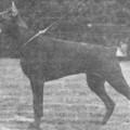 DELLA V. FRANCKENHORST