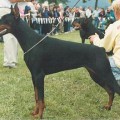 GRAVIN UNITA V. NEERLANDS STAM. NHSB 1615646