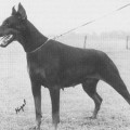 BONITA V. RENSLOO