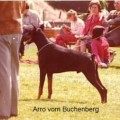 ARRO V. BUCHENBERG