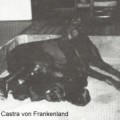 CASTRA V. FRANKENLAND