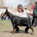 EVRIDIKA SHAIN IZ MARIALGRADA