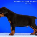 YUDGARD UCHCHI UAIT IZ MARIALGRADA