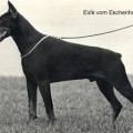 EICK V. ESCHENHOF