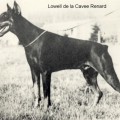 LOWELL DE LA CAVEE RENARD