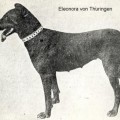 ELEANORA V. THURINGEN