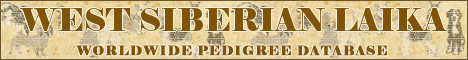 DogsFiles.com - databases of all dog's breeds.