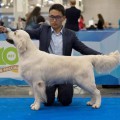 RAYNOX RELEASE FANTANGO
