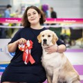 16 месяцев - отлично, CW, ЮПК, ЛЮ на монопородной выставке (ранг ПК)  - Юный чемпион НКП