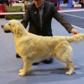 JAKO'S COMPANION FOR THE FUTURE