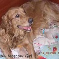 APTAUN MOSCOW GIRL  -UPTOWN MOSCOW GIRL-