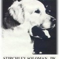 STIRCHLEY SOLOMAN