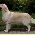 RAMCHAINE PATIENCE IS ISTRY