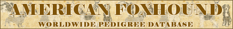 DogsFiles.com - databases of all dog's breeds.