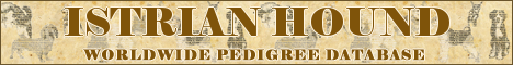 DogsFiles.com - databases of all dog's breeds.