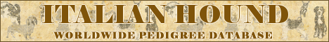 DogsFiles.com - databases of all dog's breeds.