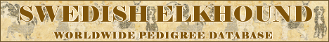 DogsFiles.com - databases of all dog's breeds.