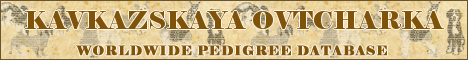 DogsFiles.com - databases of all dog's breeds.