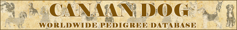 DogsFiles.com - databases of all dog's breeds.