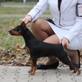 TCHERNAJA KALITVA LADY REDZHILAIN