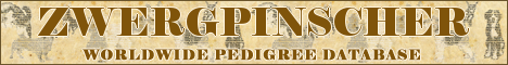 DogsFiles.com - databases of all dog's breeds.