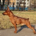 KEEP IT UP IZ DOMA LIUVIRA