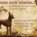 JOKER SHOW ARABESKA JOKER SHOW ARABESKA