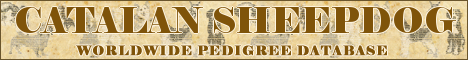 DogsFiles.com - databases of all dog's breeds.