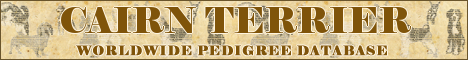 DogsFiles.com - databases of all dog's breeds.