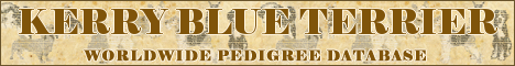 DogsFiles.com - databases of all dog's breeds.