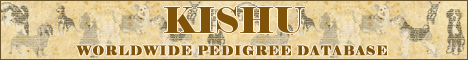 DogsFiles.com - databases of all dog's breeds.