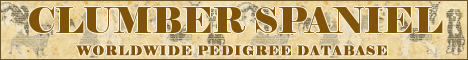 DogsFiles.com - databases of all dog's breeds.