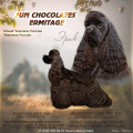 FUN CHOCOLATES ERMITAZH