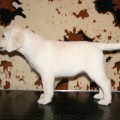 VALNERIZ MIA PRETTY LABS VALNERIZ MIA PRETTY LABS