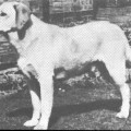 POPPLETON LIEUTENANT