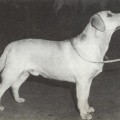 KINGSBURY NOKEENER MOONSTAR