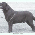 NOVACROFT ARRIS