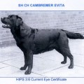 CAMBREMER EVITA