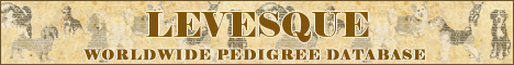 DogsFiles.com - databases of all dog's breeds.