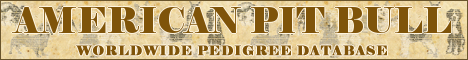 DogsFiles.com - databases of all dog's breeds.