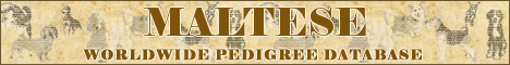 DogsFiles.com - databases of all dog's breeds.