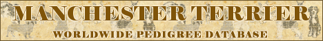 DogsFiles.com - databases of all dog's breeds.