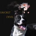 DARIY THE PRINCE OF FAVORIT DEVIL
