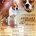 ASTILARS FAVOR ASTILARS FAVOR