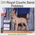 ROYAL COURT SAND PEBBLES