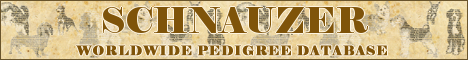 DogsFiles.com - databases of all dog's breeds.